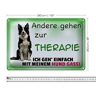 Blechschild Spruch 30x20cm ich geh&#039; mit meinem Hund Gassi
