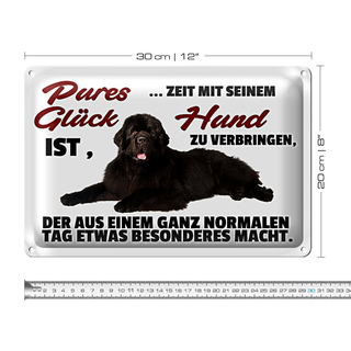 Blechschild Spruch 30x20cm pures Glück ist Zeit mit Hund
