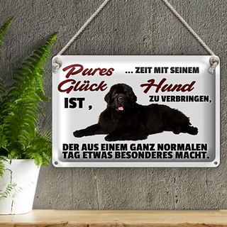 Blechschild Spruch 30x20cm pures Glück ist Zeit mit Hund