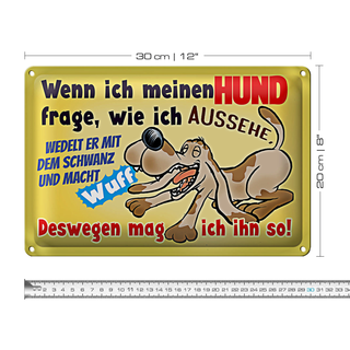 Blechschild Spruch 30x20cm wenn ich meinen Hund frage