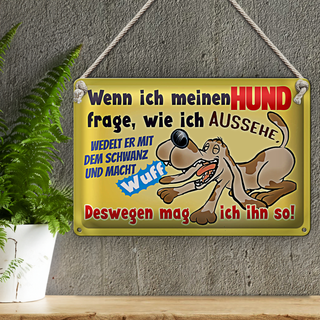 Blechschild Spruch 30x20cm wenn ich meinen Hund frage