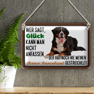 Blechschild Spruch 30x20cm wer sagt Glück Berner Sennenhund