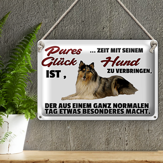 Blechschild Spruch 30x20cm Pures Glück Zeit mit seinem Hund