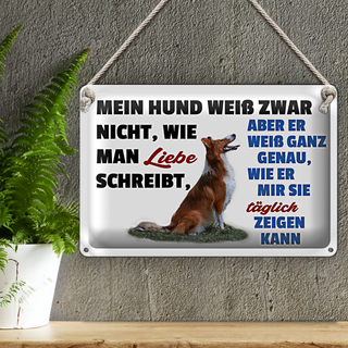 Blechschild Spruch 30x20cm mein Hund weiß zwar Hundeliebe