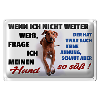 Blechschild Spruch 30x20cm wenn ich nicht weiter weiß Hund