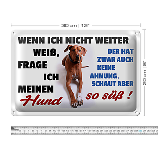 Blechschild Spruch 30x20cm wenn ich nicht weiter weiß Hund