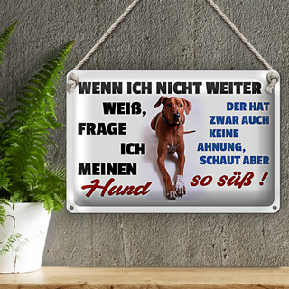 Blechschild Spruch 30x20cm wenn ich nicht weiter weiß Hund