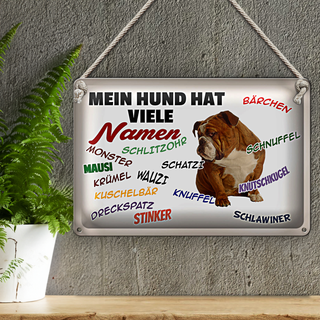 Blechschild Spruch 30x20cm mein Hund hat viele Namen