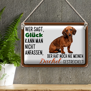 Blechschild Spruch 30x20cm wer sagt Glück Dackel Hund
