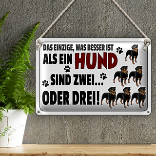 Blechschild Spruch 30x20cm Was besser ist als ein Hund zwei