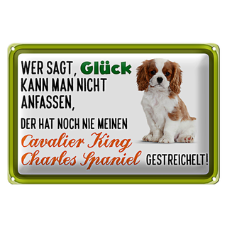 Blechschild Spruch 30x20cm Cavalier King Charles Spaniel