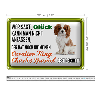 Blechschild Spruch 30x20cm Cavalier King Charles Spaniel