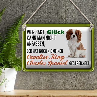 Blechschild Spruch 30x20cm Cavalier King Charles Spaniel
