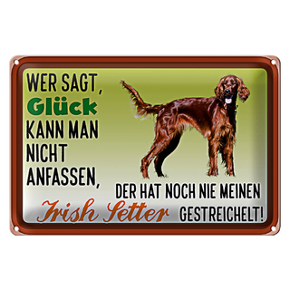 Blechschild Spruch 30x20cm Glück Irish Setter Hund
