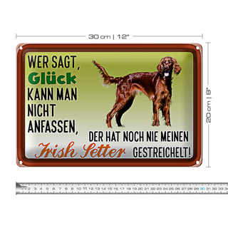 Blechschild Spruch 30x20cm Glück Irish Setter Hund