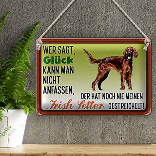 Blechschild Spruch 30x20cm Glück Irish Setter Hund