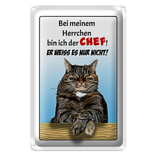 Blechschild Spruch 20x30cm Katze bei meinem Herrchen Chef