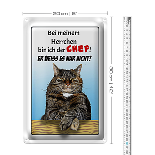 Blechschild Spruch 20x30cm Katze bei meinem Herrchen Chef