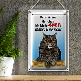 Blechschild Spruch 20x30cm Katze bei meinem Herrchen Chef