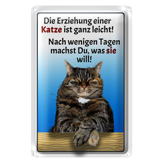 Blechschild Spruch 20x30cm die Erziehung einer Katze leicht