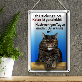 Blechschild Spruch 20x30cm die Erziehung einer Katze leicht