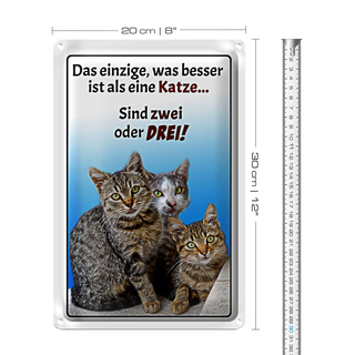 Blechschild Spruch 20x30cm einzige was besser ist als Katze