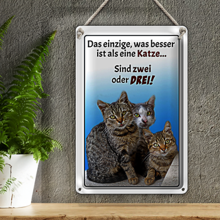 Blechschild Spruch 20x30cm einzige was besser ist als Katze