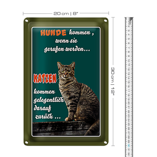 Blechschild Spruch 20x30cm Hunde kommen wenn Katzen kommen