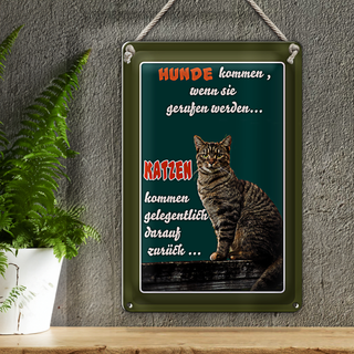 Blechschild Spruch 20x30cm Hunde kommen wenn Katzen kommen