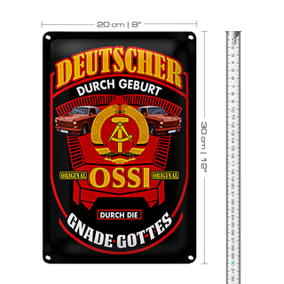 Blechschild Spruch 20x30cm Deutscher durch Geburt Ossi