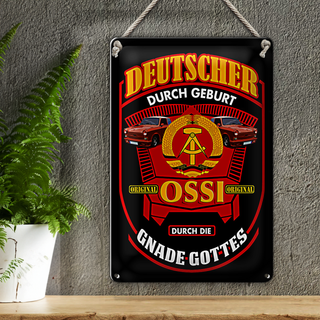 Blechschild Spruch 20x30cm Deutscher durch Geburt Ossi