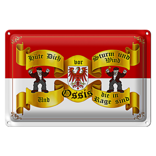 Blechschild Spruch 30x20cm hüte dich vor Sturm Ossis