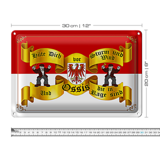 Blechschild Spruch 30x20cm hüte dich vor Sturm Ossis