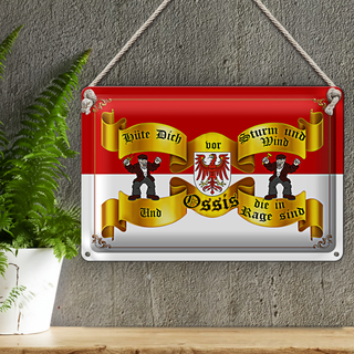 Blechschild Spruch 30x20cm hüte dich vor Sturm Ossis