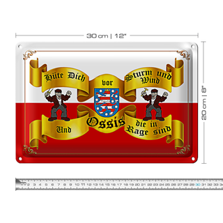 Blechschild Spruch 30x20cm hüte dich Sturm Wind Ossis