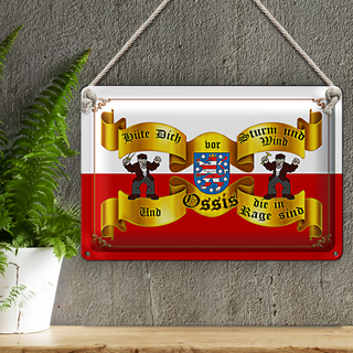 Blechschild Spruch 30x20cm hüte dich Sturm Wind Ossis