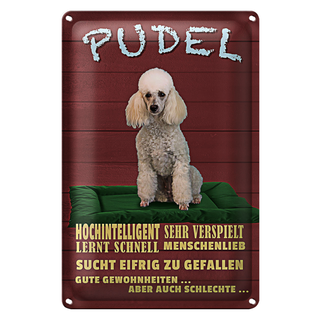 Blechschild Spruch 20x30cm Pudel hochintelligent lieb Hund