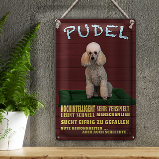 Blechschild Spruch 20x30cm Pudel hochintelligent lieb Hund