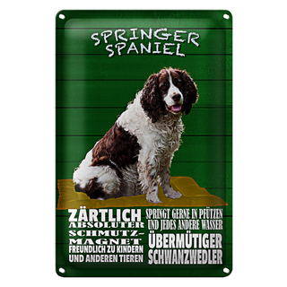 Blechschild Spruch 20x30cm Springer Spaniel Hund zärtlich