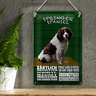 Blechschild Spruch 20x30cm Springer Spaniel Hund zärtlich