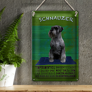 Blechschild Spruch 20x30cm Schnauzer Hund temperamentvoll