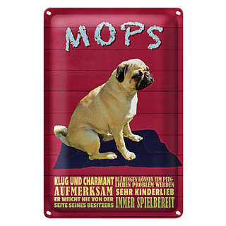 Blechschild Spruch 20x30cm Mops Hund klug und charmant