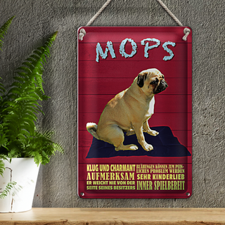 Blechschild Spruch 20x30cm Mops Hund klug und charmant