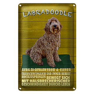 Blechschild Spruch 20x30cm Labradoodle Hund froh und clever