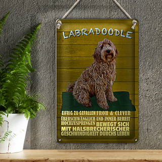 Blechschild Spruch 20x30cm Labradoodle Hund froh und clever