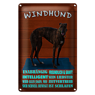 Blechschild Spruch 20x30cm Windhund Hund intelligent sanft