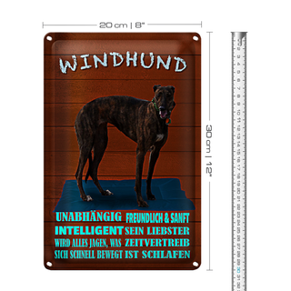 Blechschild Spruch 20x30cm Windhund Hund intelligent sanft
