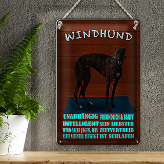 Blechschild Spruch 20x30cm Windhund Hund intelligent sanft