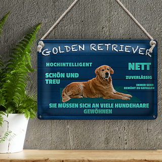 Blechschild Spruch 30x20cm Golden Retriever Hund nett treu