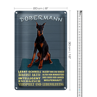 Blechschild Spruch 20x30cm Dobermann lernt schnell Hund